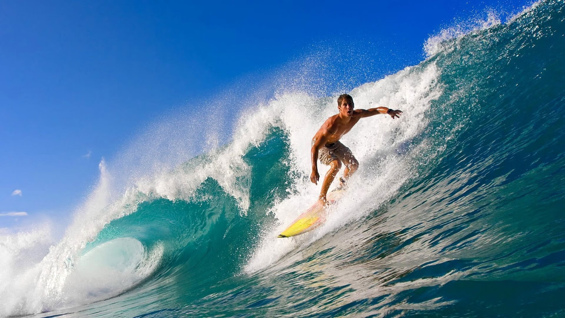 世界杯基于AI的裁判辅助系统，世界杯裁判名单公布